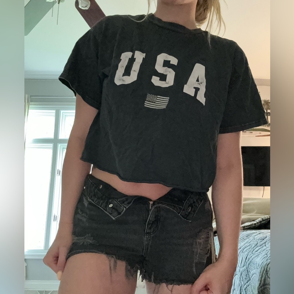 john galt brandy melville usa american flag cropped tee